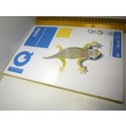 БУМАГА 80гр А4 100л. IQ канареечно-желтый Cy 39