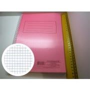 КНИГА Канцелярская 100л пластик красн спир