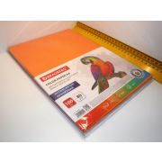 БУМАГА CREATIVE color интенсив оранжев 80гр А4 (100л.)
