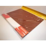 ПАПКА - БЛОК А4 10вклад. Brauberg 221590 красн